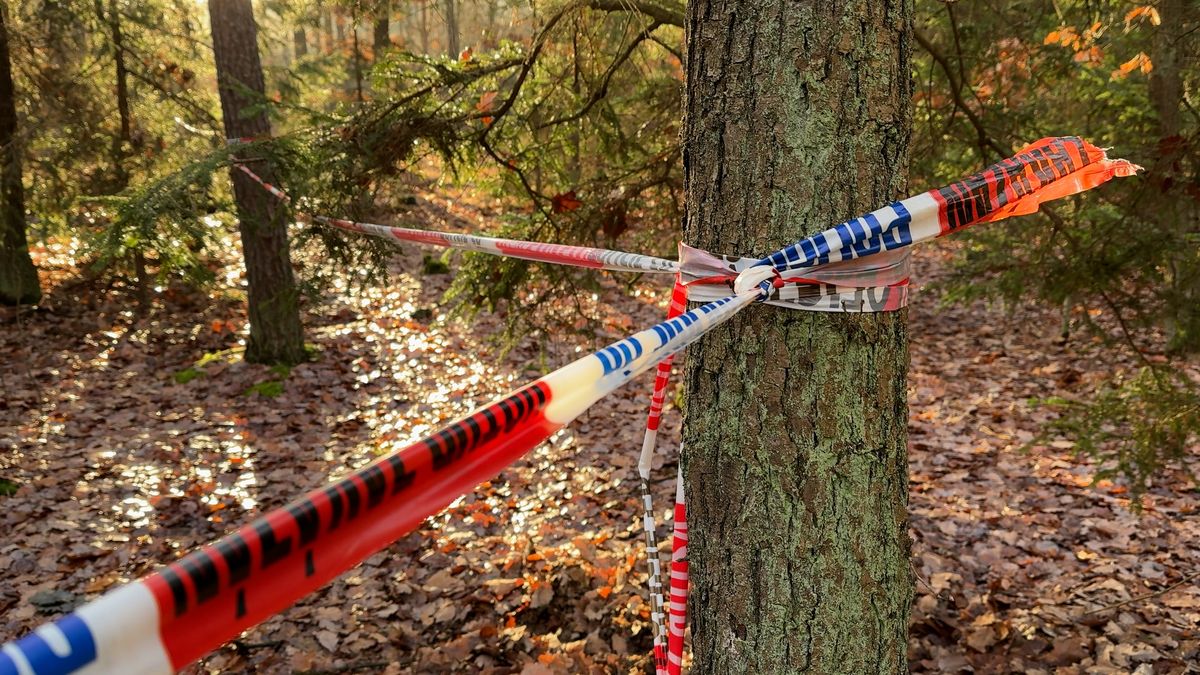 V Klánovickém lese v Praze šlo o vraždu muže a dítěte